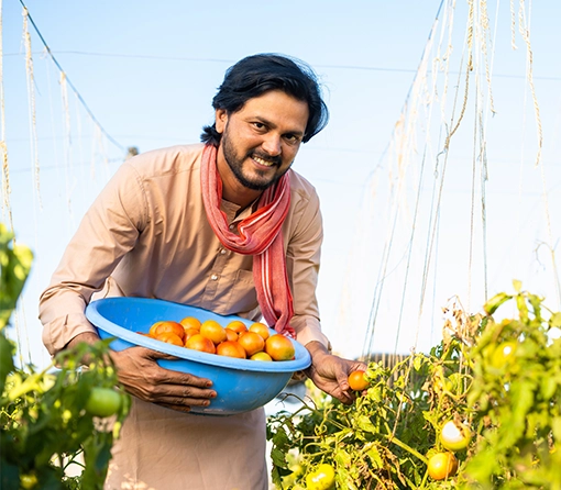 Agriculture Supply Chain Finance