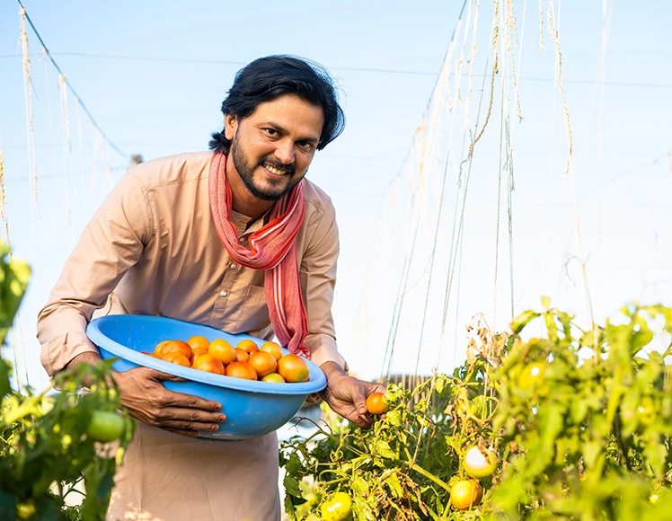 Agriculture Supply Chain Finance